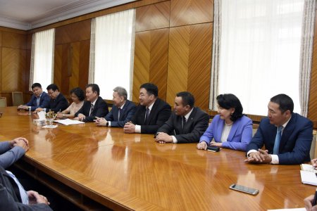 Монгол-Германы парламентын бүлгийн гишүүд Бундестаг дахь Герман-Төв Азийн бүлгийн даргатай уулзлаа